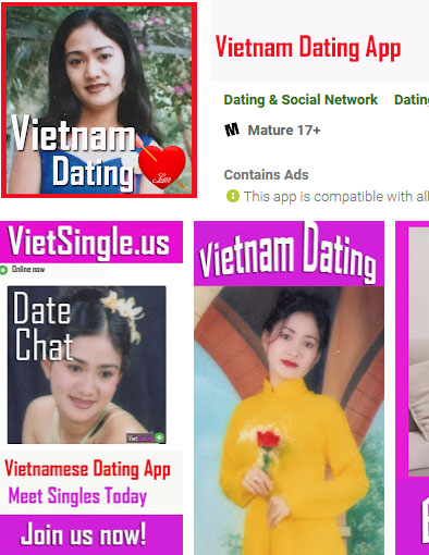 Vietnam dating app Viet Single
